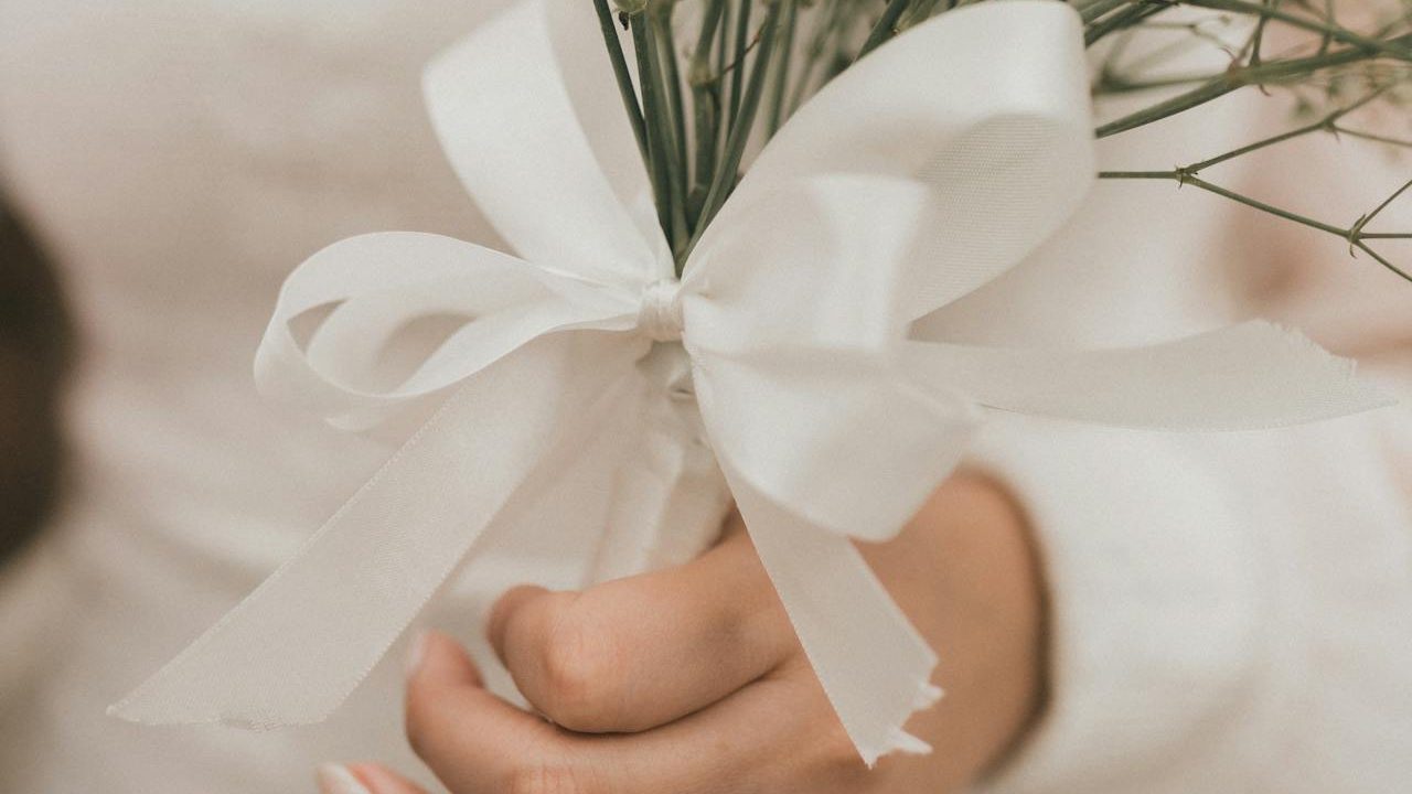 pexels alexander mass 20479831 e1709754234549 1280x720 1